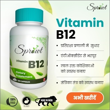 Sources Of Vitamin B12  Why Should Add Them To Your Diet  Feminain