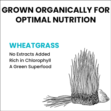 Blockbuster weight loss drugs like Ozempic deliver big results but face big questions