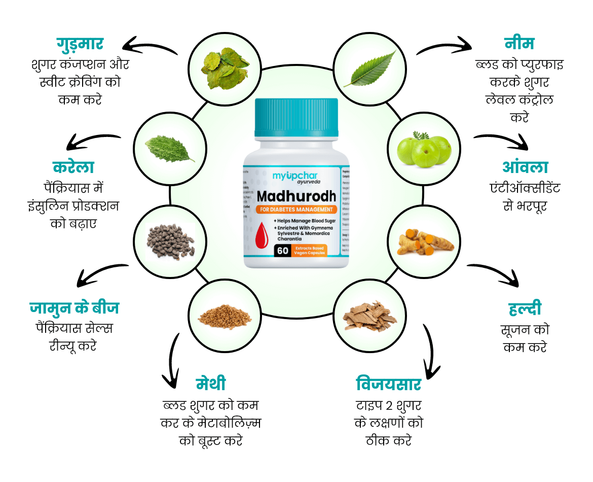 Natural ingredients in Madhurodh Sugar Capsules