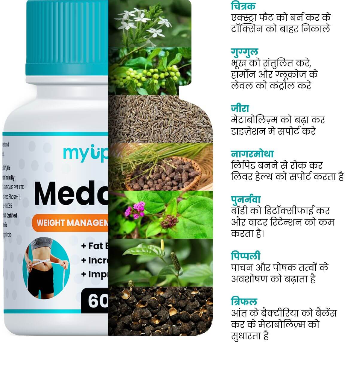 Natural ingredients in Madhurodh Sugar Capsules