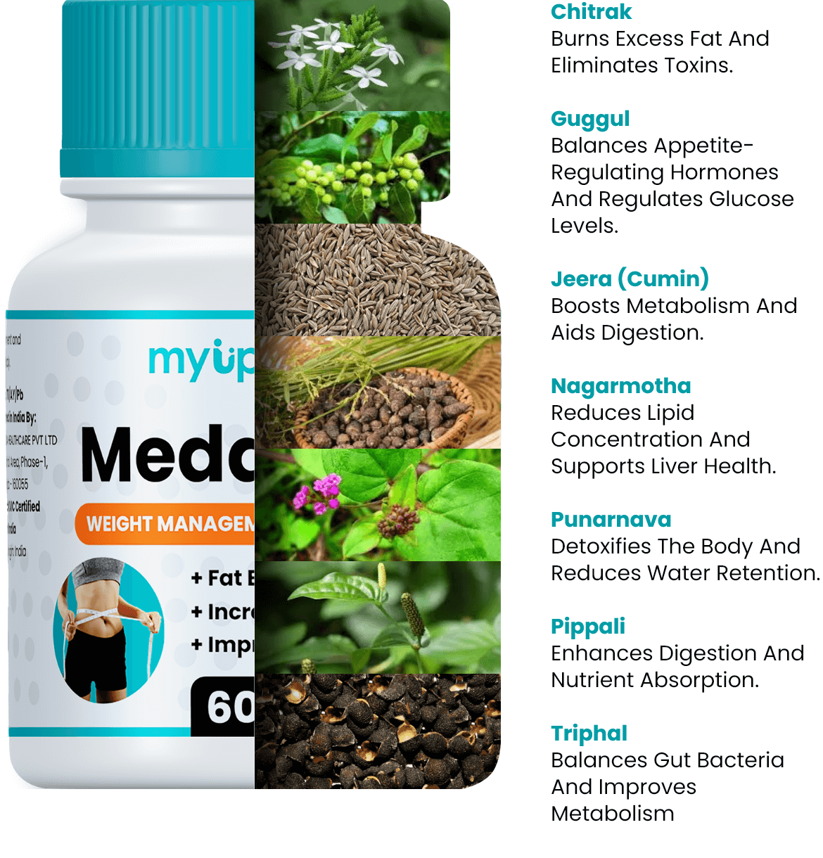 Natural ingredients in Madhurodh Sugar Capsules