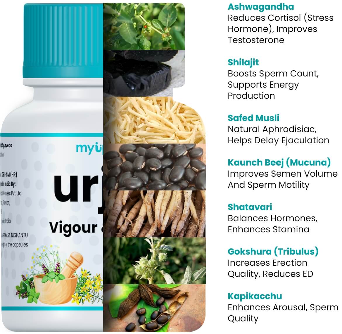 Natural ingredients in Madhurodh Sugar Capsules