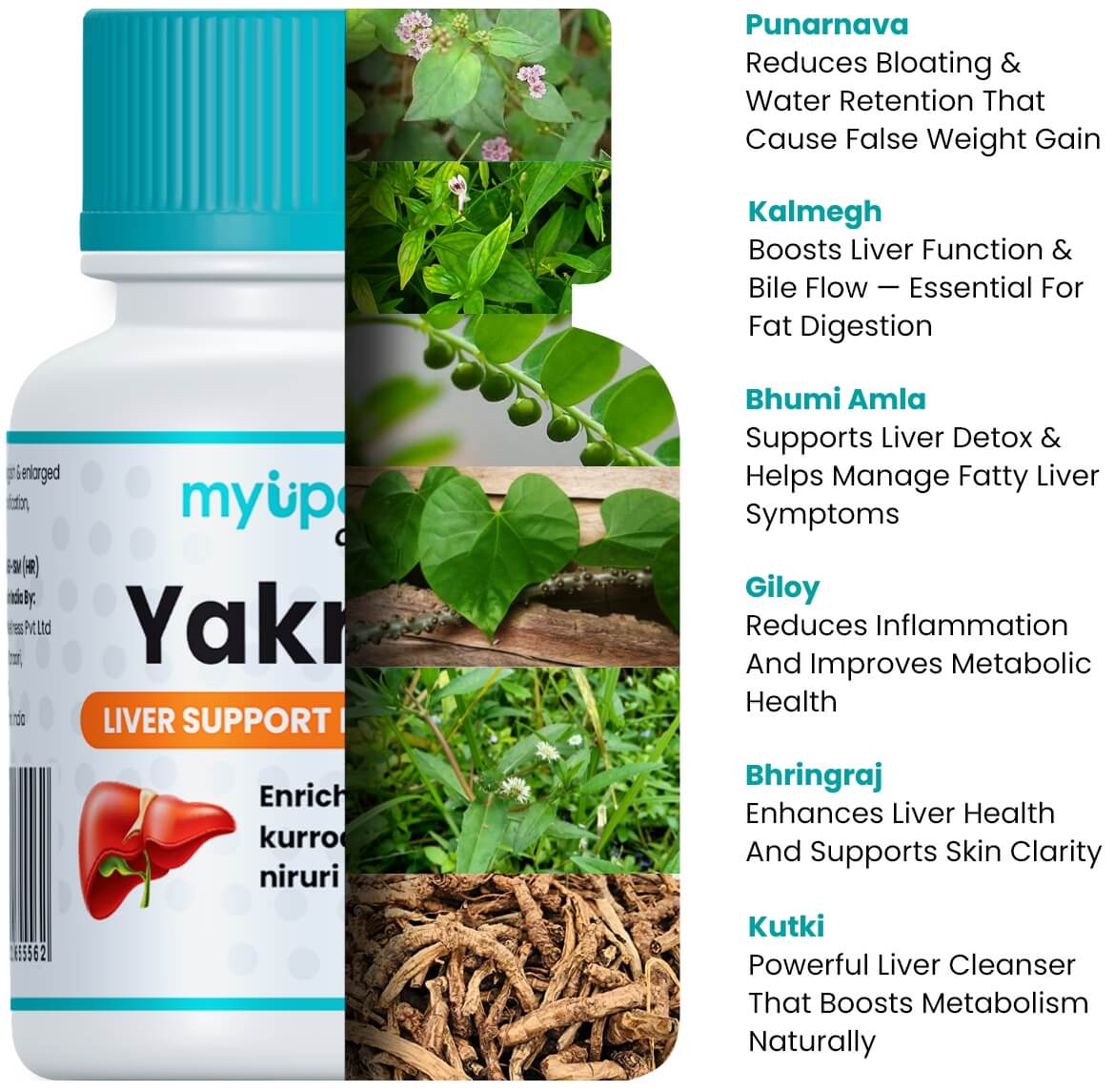 Natural ingredients in Yakritas Capsules